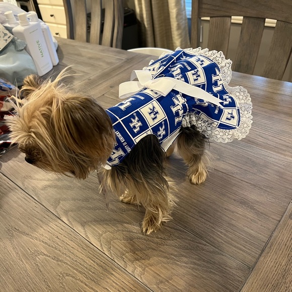 Kentucky Small Dog Dress - Picture 2 of 5